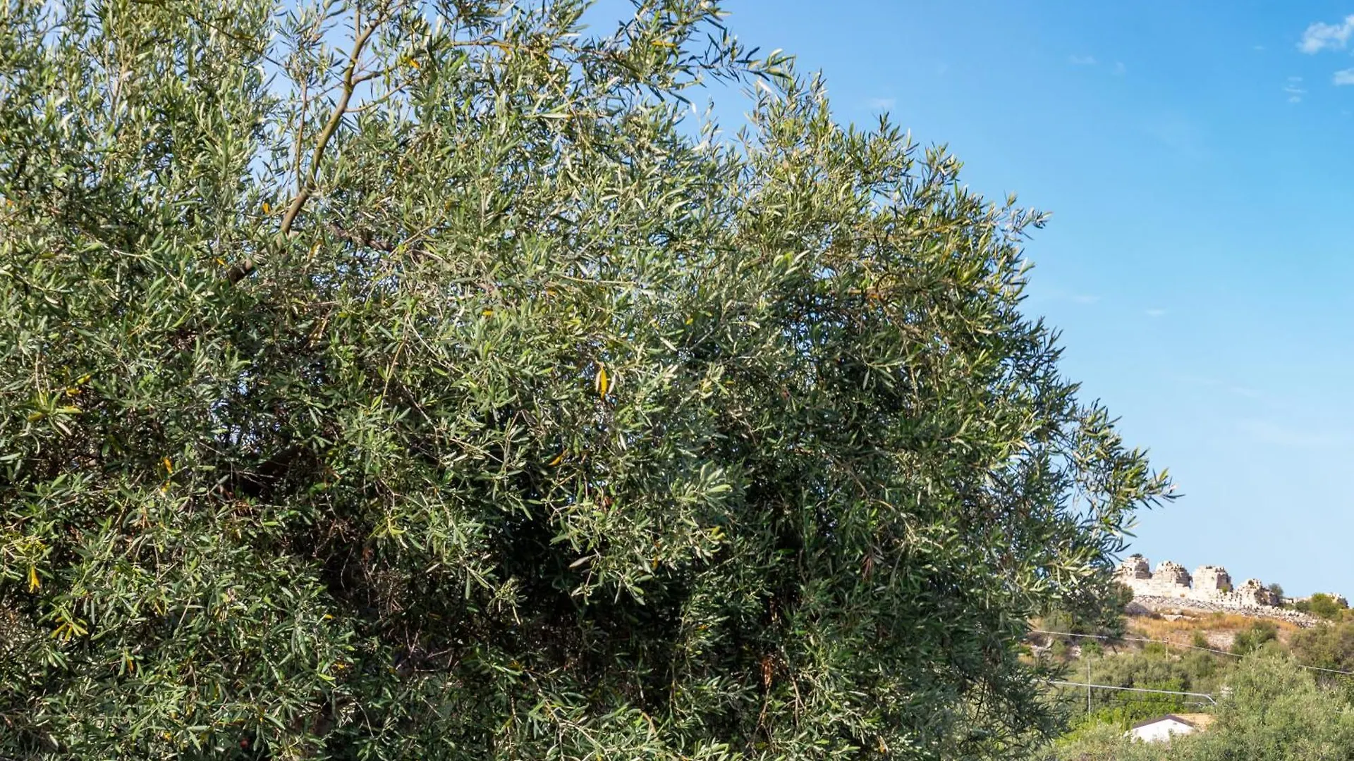 Casale Antiche Mura Siracusa Szirakúza Olaszország